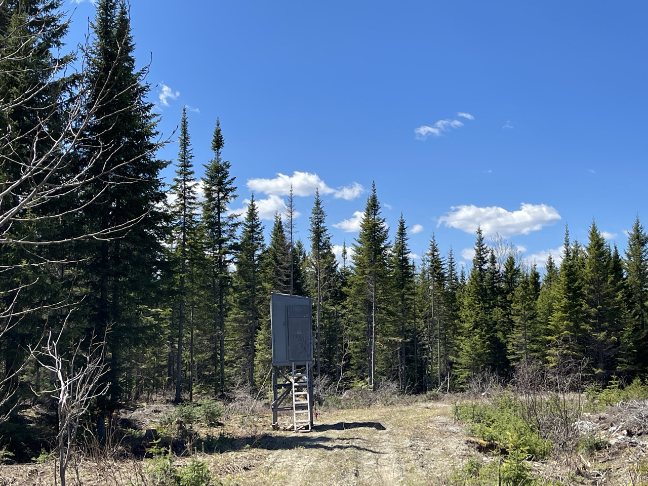 Terrain boisé à SainteApollinedePatton 100,000 Lot à vendre
